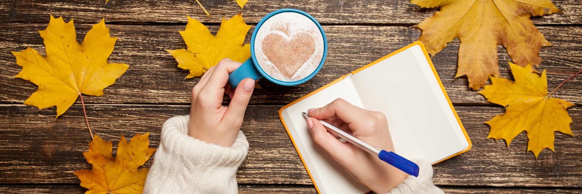Basics of Creative Writing Course The Writers College