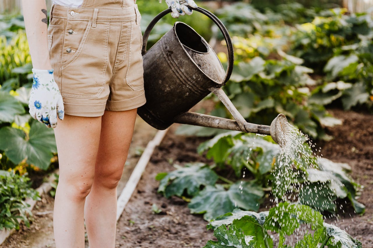 writing like gardening